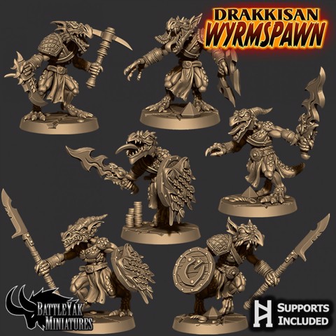 Image of Wyrmcult Supplicant Pack