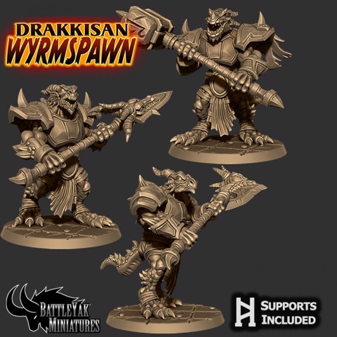 Image of Drakkisan Wyrmidon Pack