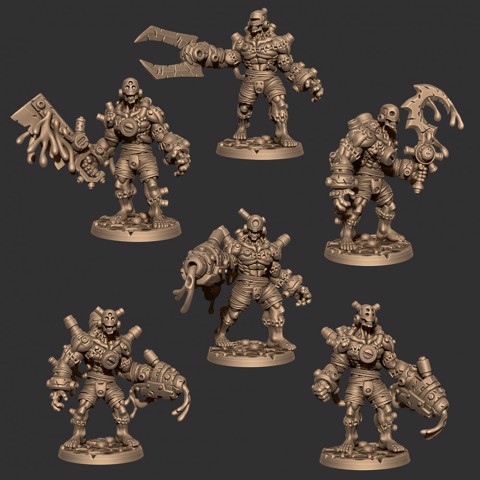 Image of Wargast Collection