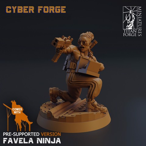 Image of Favela Ninja