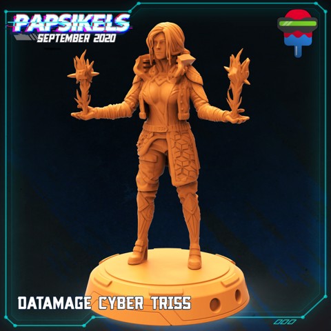 Image of DATAMAGE CYBER TRISS