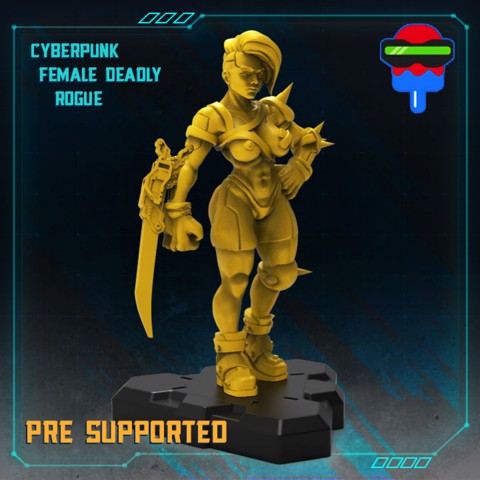 Image of CYBERPUNK FEMALE DEADLY ROGUE