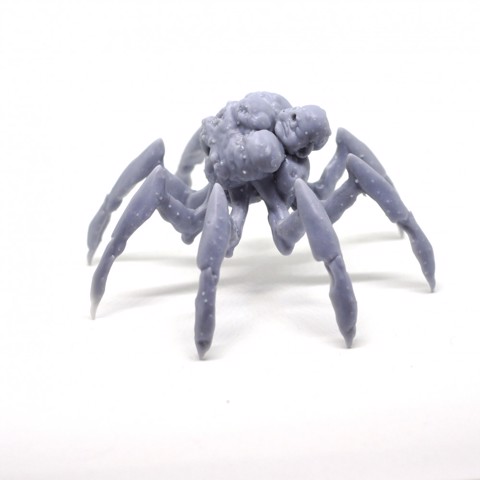Image of Hell Spider!