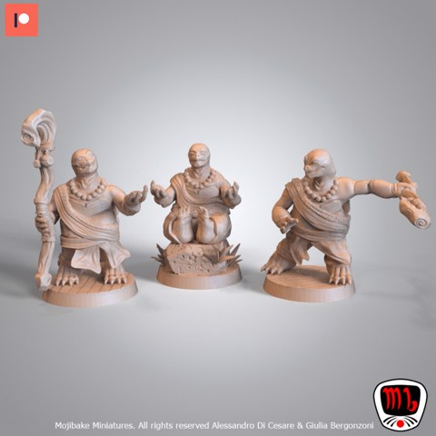 Image of Jin, Jun and Jiang, monk turtles (Pre-supported)