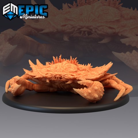 Image of Giant Crab Coral / Sea Monster