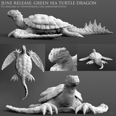 Image of Green Sea Turtle Dragon