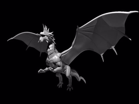Image of Silver Dragon Flying