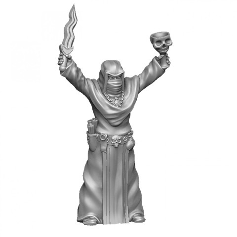 Image of Cultist with ritual cup and dagger - supportless model