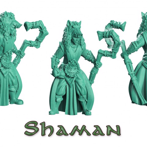 Image of Shaman druid
