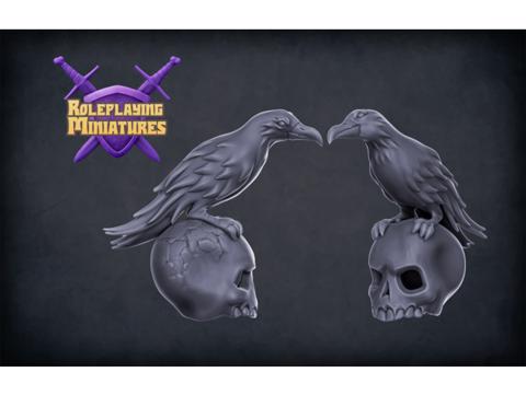 Image of Raven & Skull