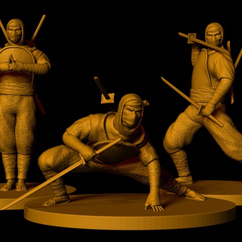 Image of Shinobi Warriors (3 poses)