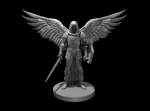 Image of Fallen Aasimar Paladin with Sword & Shield