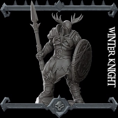 Image of Winter Knight