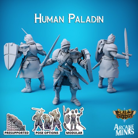 Image of Human Paladin - Arrodan Syndicate