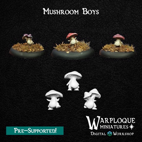 Image of Mushroom Boys