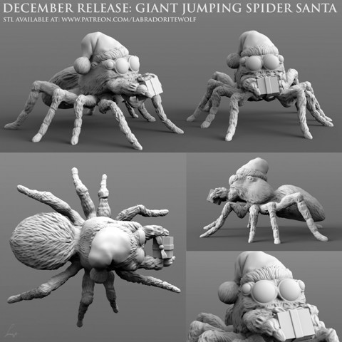 Image of Giant Jumping Spider Santa