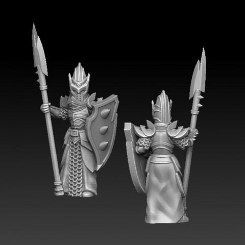 Image of Dark elf warrior with sheld and spear