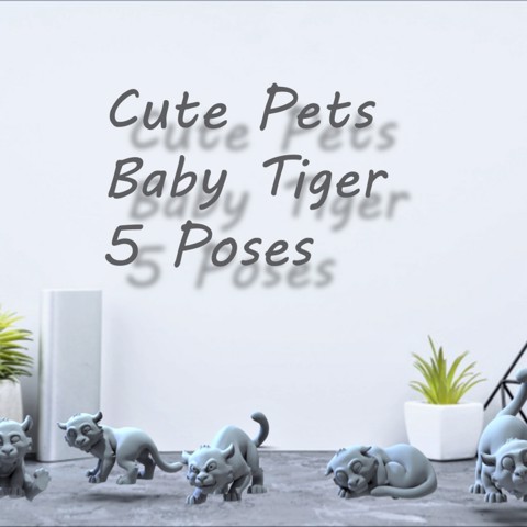 Image of Baby Tiger cute pets