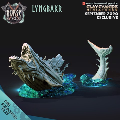 Image of Lyngbakr