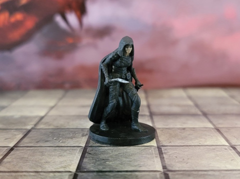 Image of Female Rogue 4