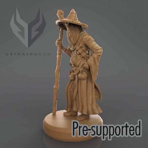 Image of Wizard - pre-supported stl