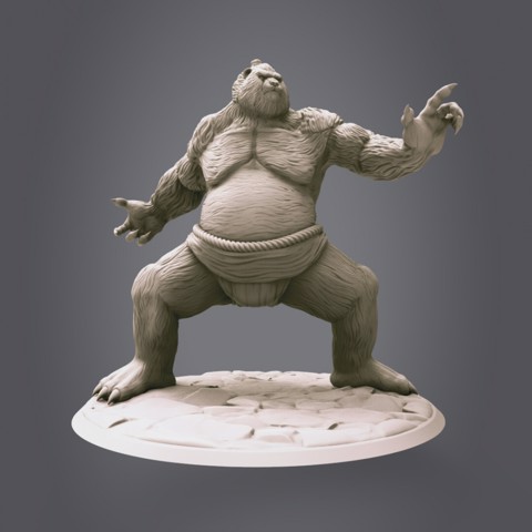 Image of Sumo Fighter