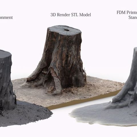 Image of 3D Scanned Tree Stump for Tabletop Scatter Terrain