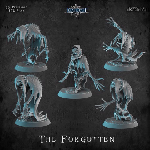 Image of The Forgotten