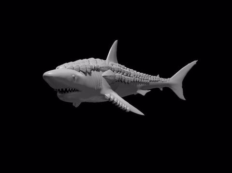 Image of Shell Shark 