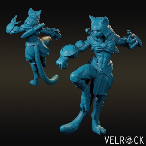 Image of Tabaxi Monk with Claws (Female) NOW PRESUPPORTED
