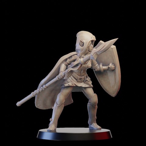 Image of Elf warrior with spear and sheld