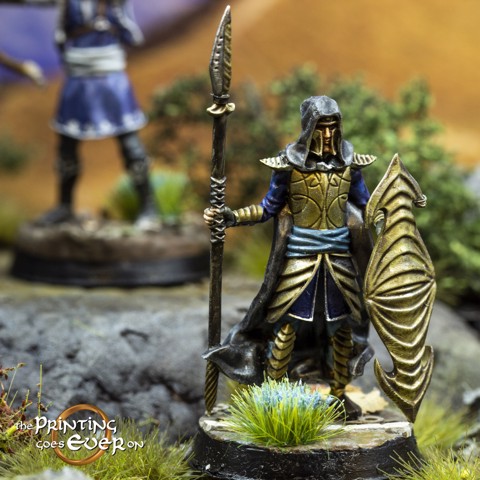 Image of Elven Guard - Presupported