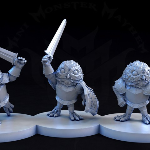 Image of Mighty Owl Knights (3 poses)