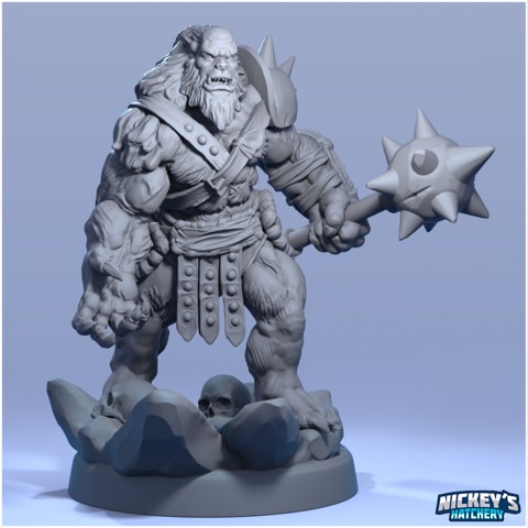 Image of Orc - The Beast Tribe - Menacer