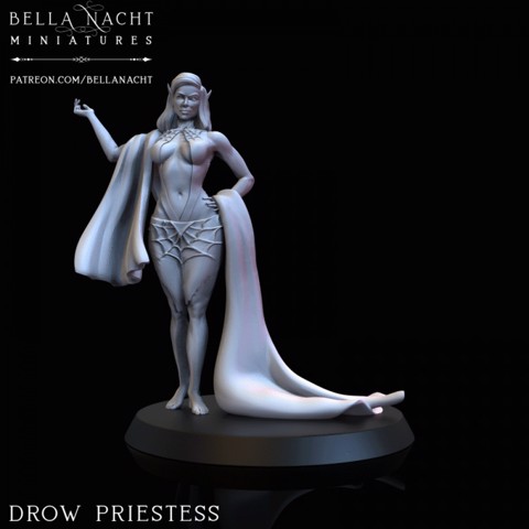 Image of Drow Priestess - 2 Versions