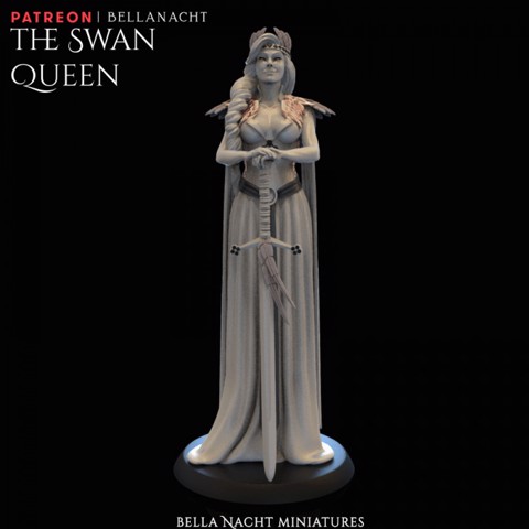 Image of The Swan Queen - Pre Supported