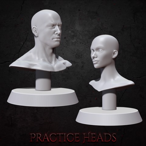 Image of Practice Busts