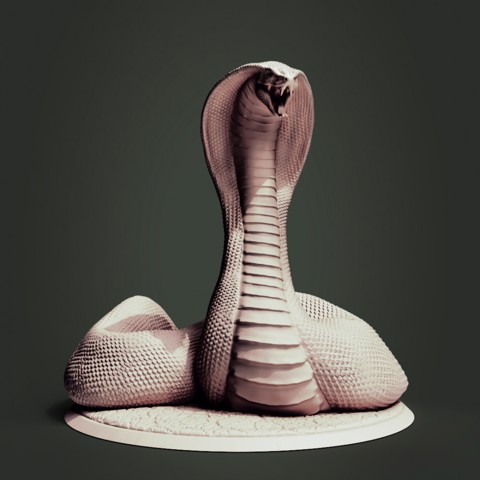 Image of Snake-folks-Cobra