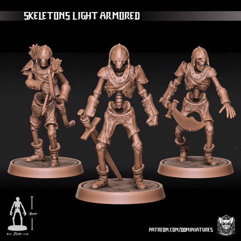 Image of Skeleton Light Armored