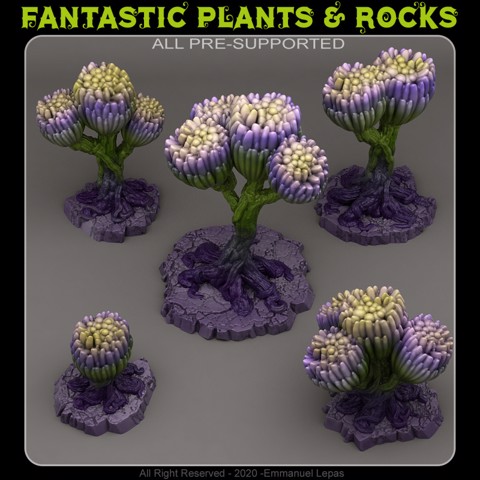 Image of SCI FI UNKNOWN FLOWERS