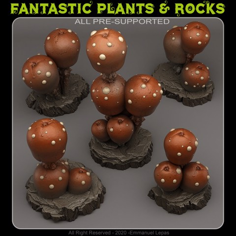 Image of CANDY MUSHROOMS