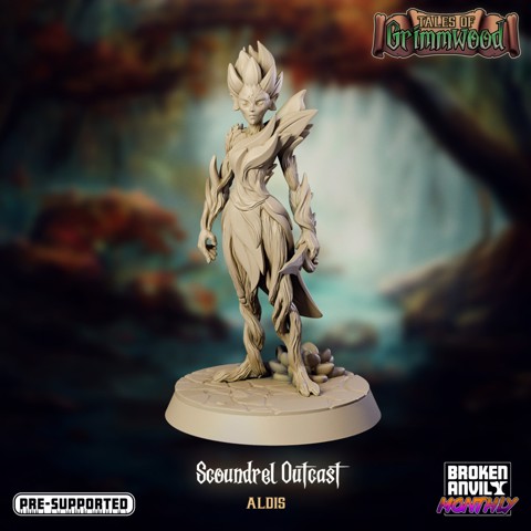Image of Tales of Grimmwood- Dryad Scoundrel
