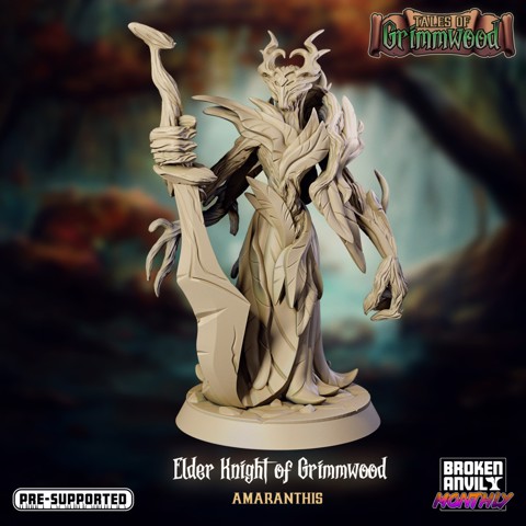 Image of Tales of Grimmwood- Knight of Grimmwood Eldar 1