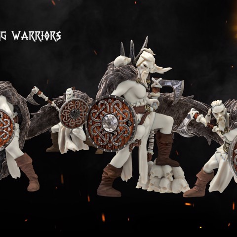 Image of Viking Warriors