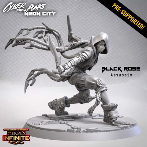 Image of Black Rose, Assassin (Cyberpunk)