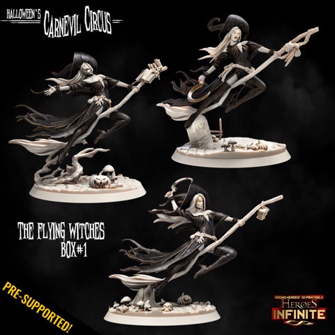 Image of The Flying Witches box#1