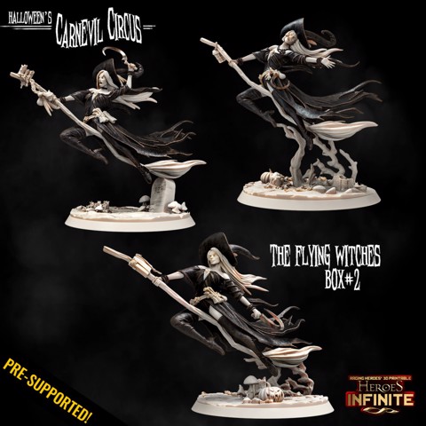 Image of The Flying Witches box#2