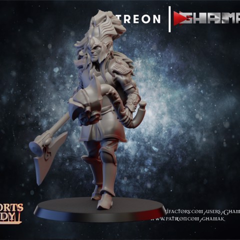Image of High Elf warrior lion 3 support ready