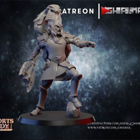 Image of High Elf warrior lion 1 support ready