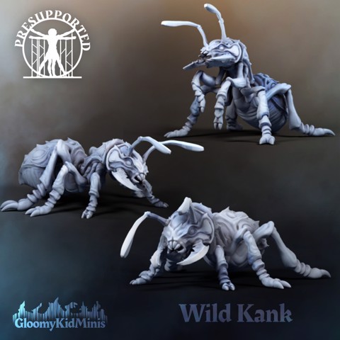 Image of Wild Kank